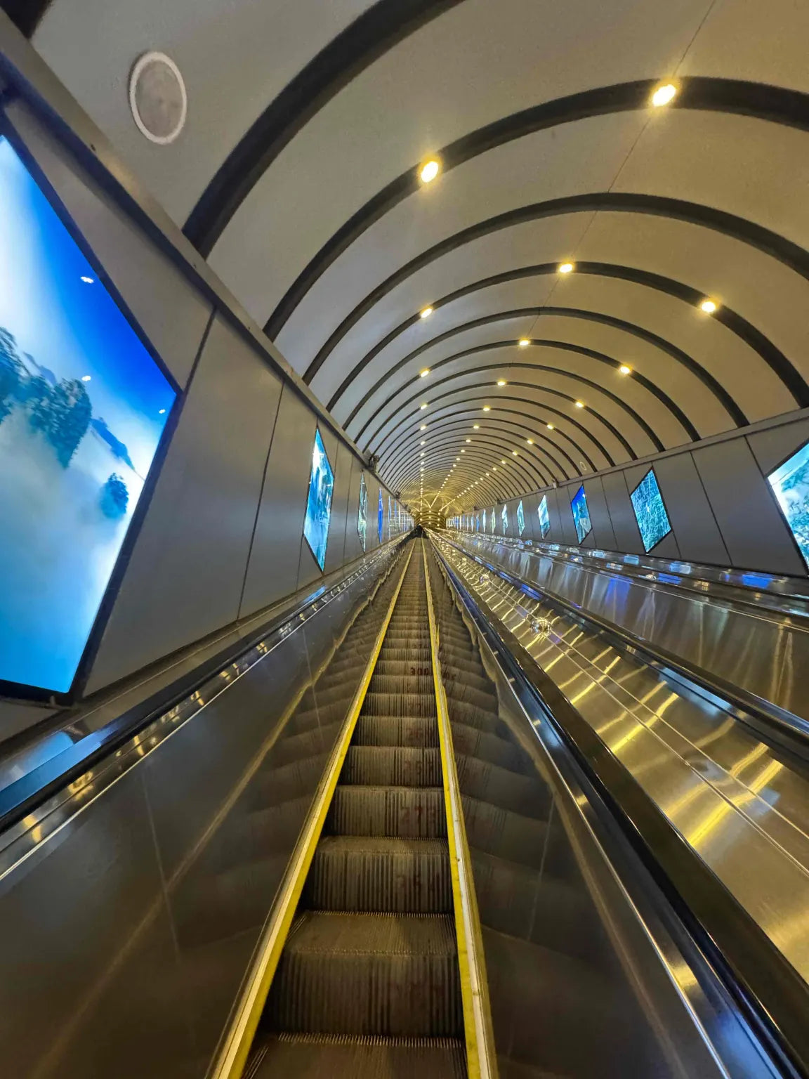 Tianmen Mountain & Ancient Towns | Peak Wonders & Riverside Nights image 9
