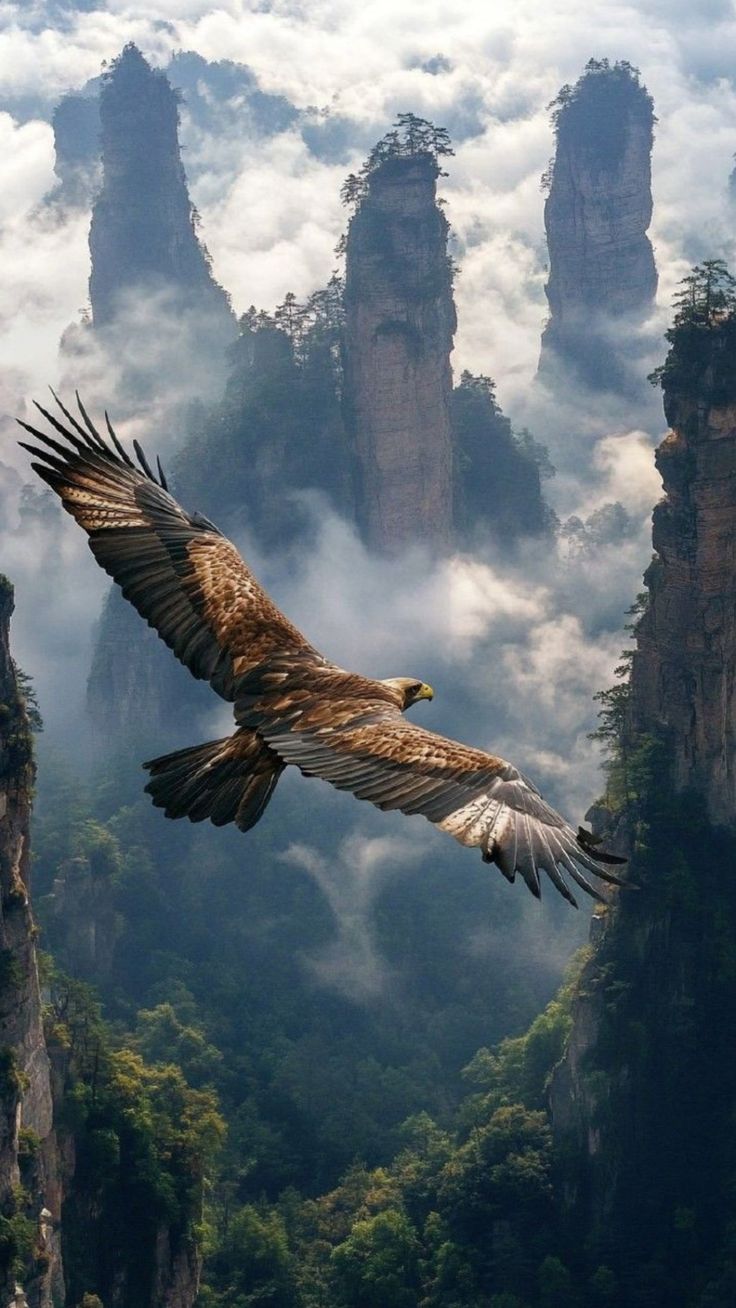 5-Day Zhangjiajie Tour: Glass Bridge, Avatar Peaks, Tianmen Mountain & Fenghuang Ancient Town