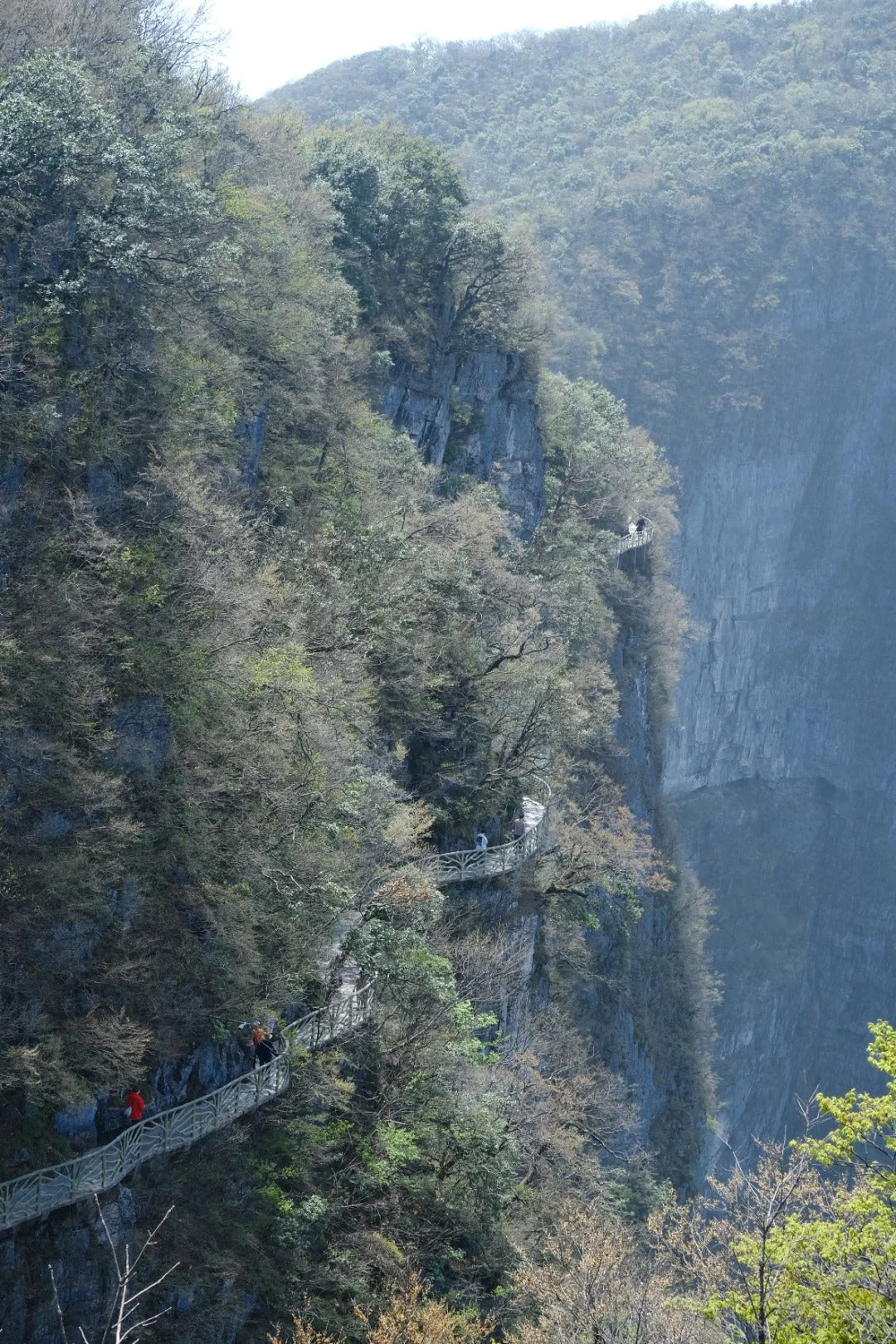 Cable Car & Summit Exploration image 1