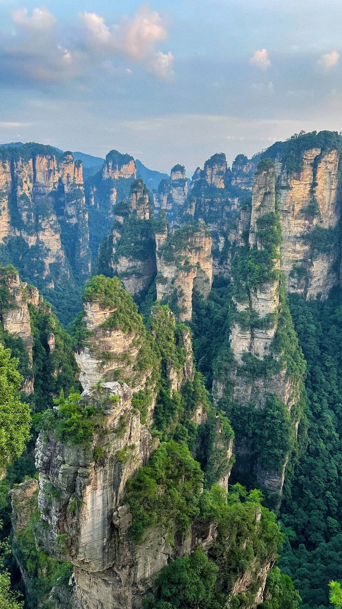Wulingyuan & Fenghuang Ancient Town | Avatar Peaks & Riverside Night Experience image 6