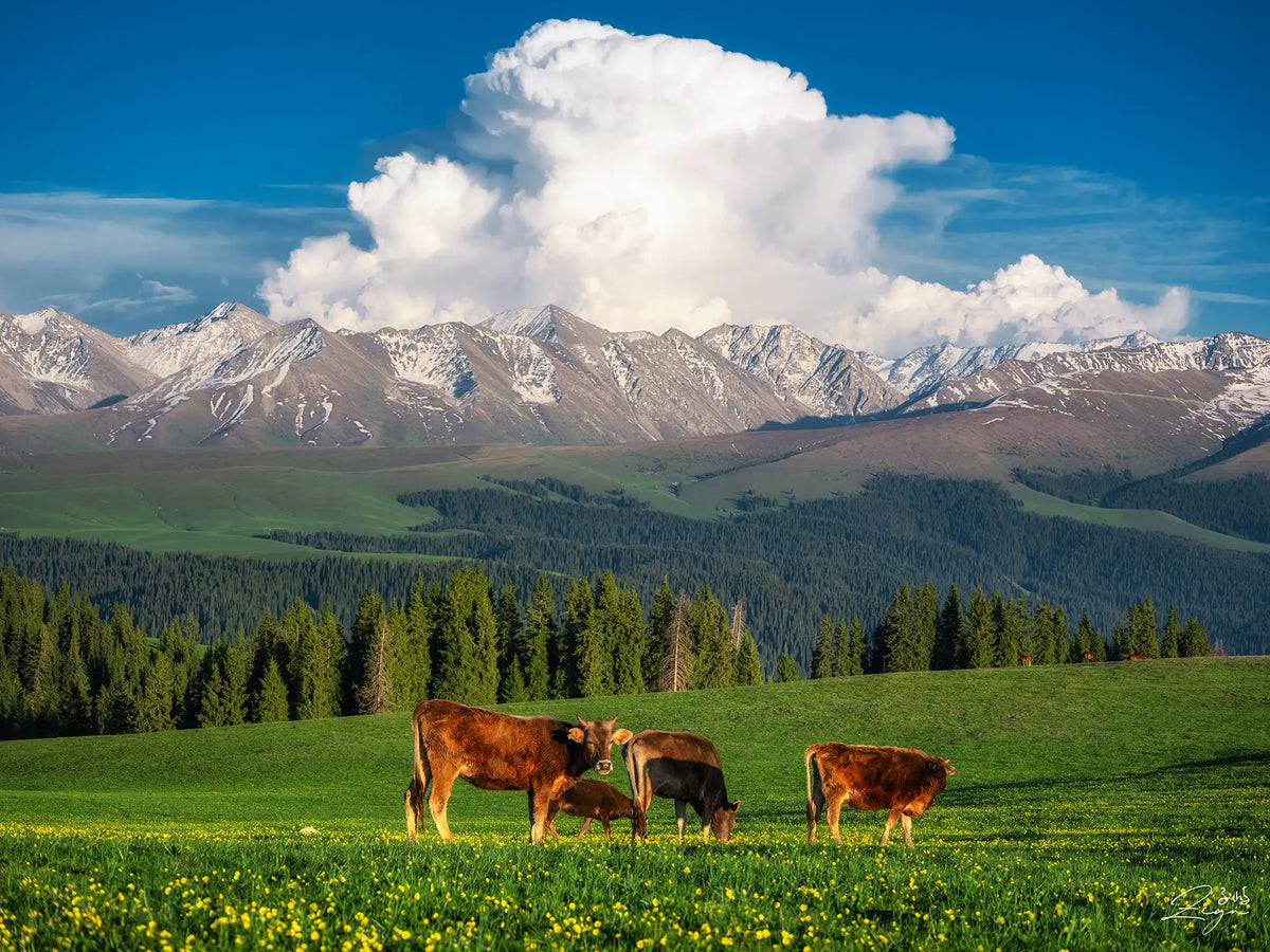 Seasonal travel inspiration