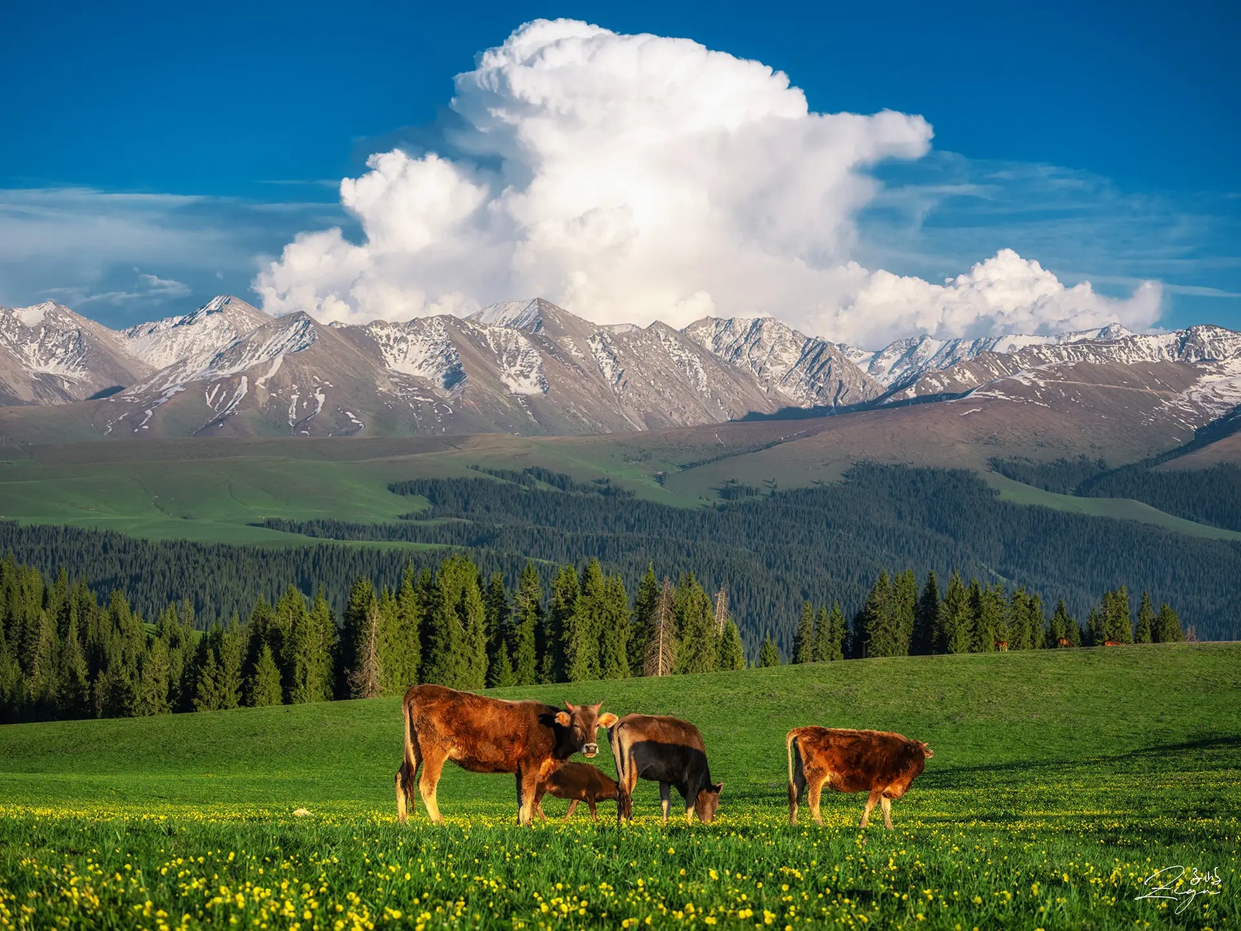 EXPERIENCE THE UNTAMED WONDERS OF XINJIANG