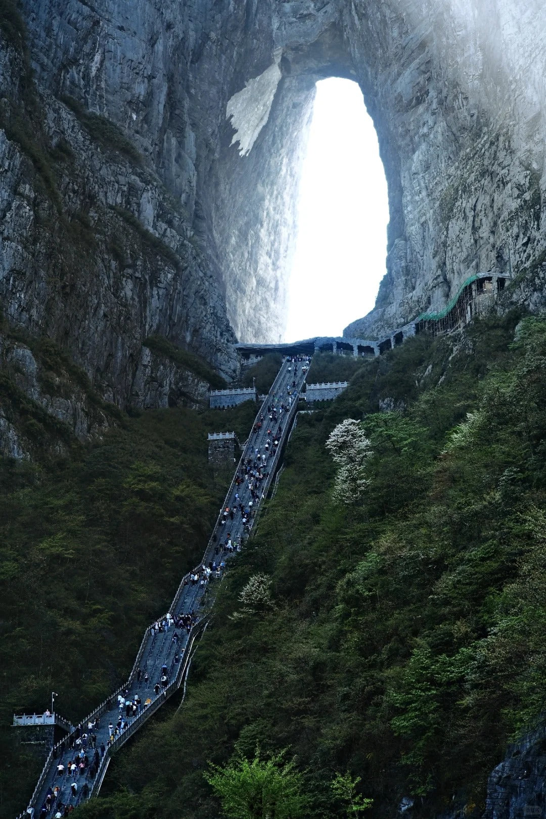 1-Day Tianmen Mountain Tour: Heaven's Gate, Glass Skywalk & Cable Car