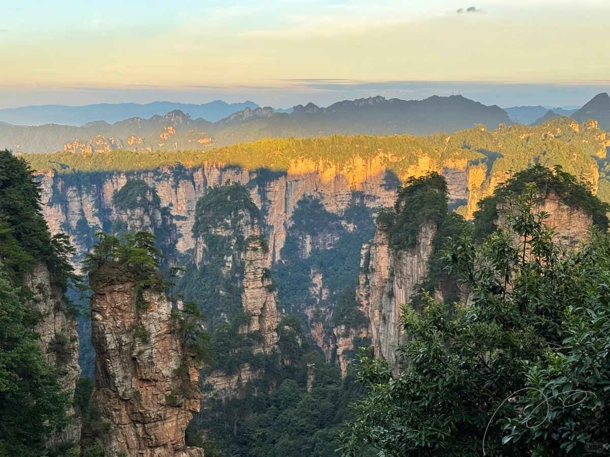 Zhangjiajie National Forest Park | Classic Peaks & Valley Walk image 3