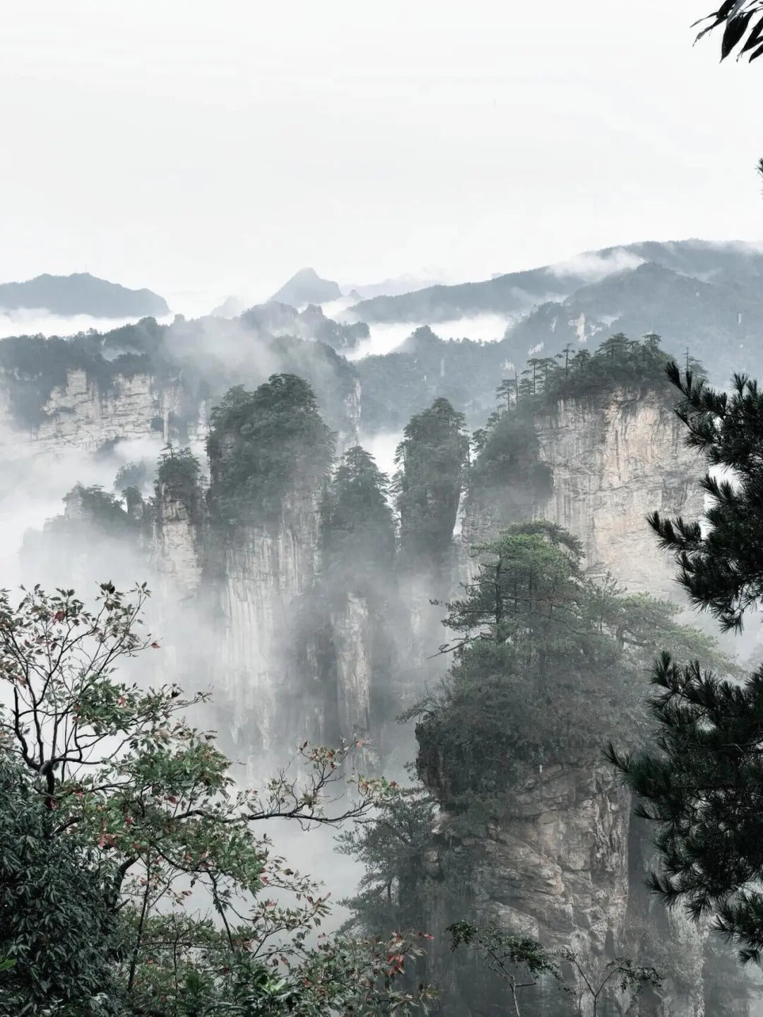 Tianzi Mountain & Ten-Mile Gallery image 2