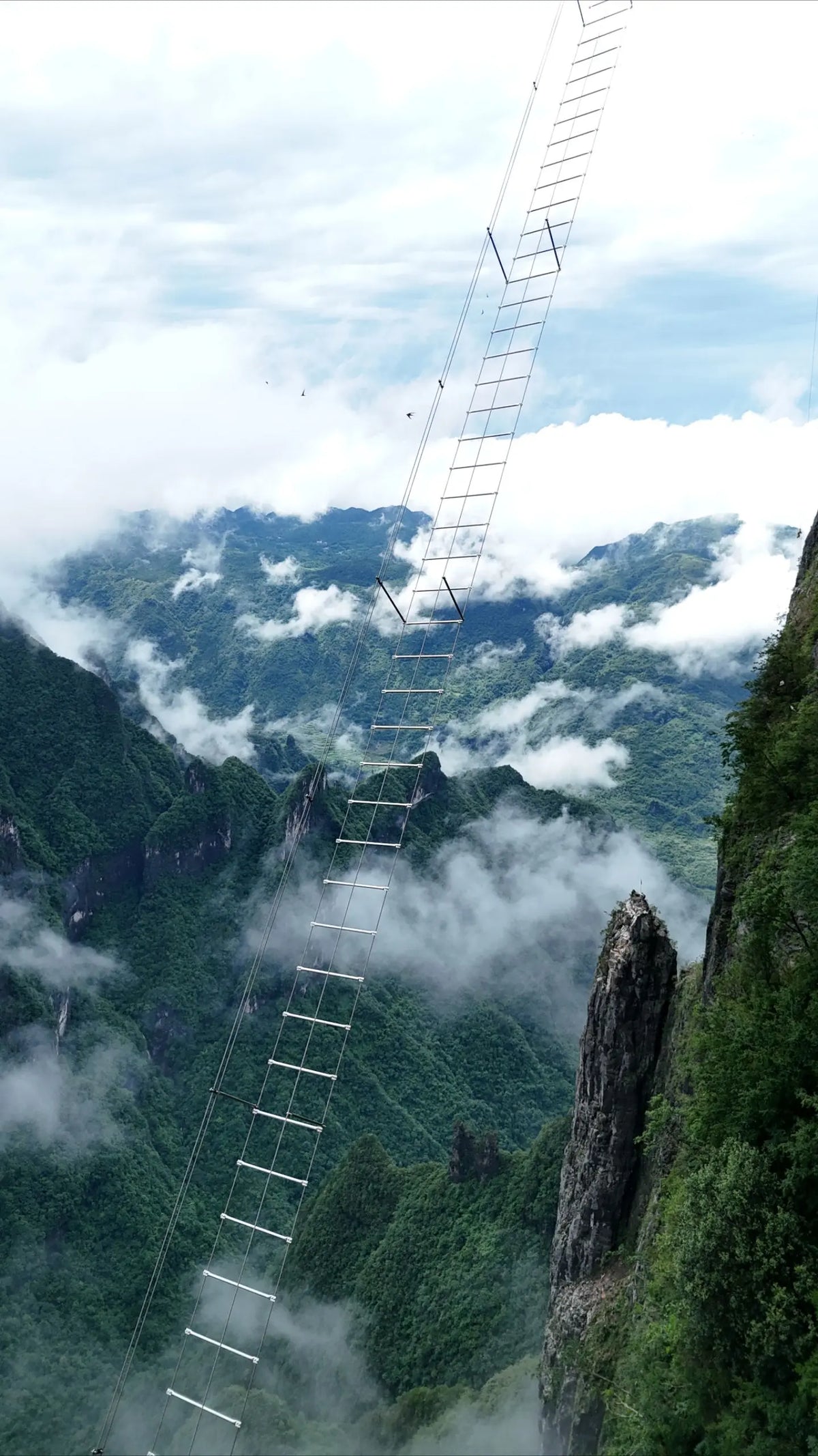 Zhangjiajie Cliffside | 1,000m Via Ferrata Challenge image 5