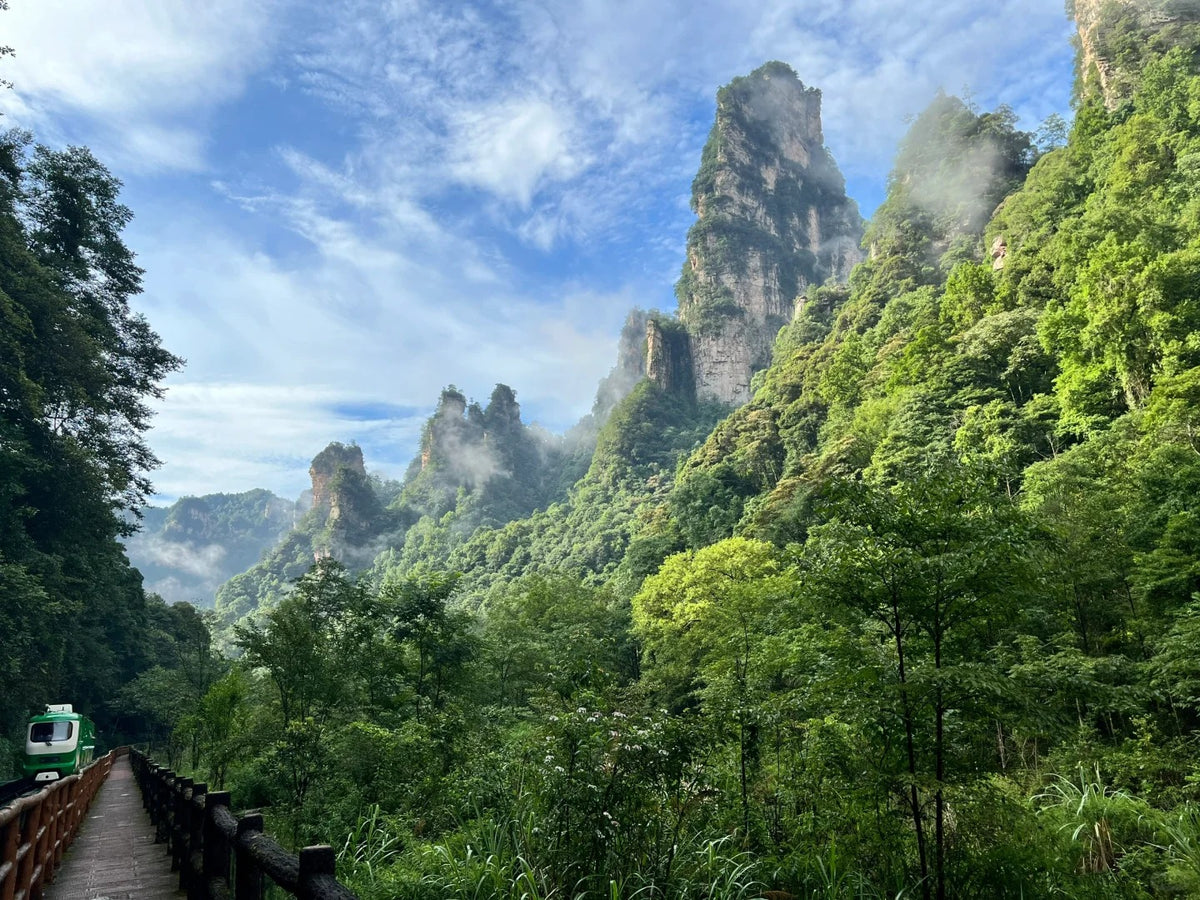 Zhangjiajie National Forest Park | Avatar Peaks & Mountain Stay  image 7
