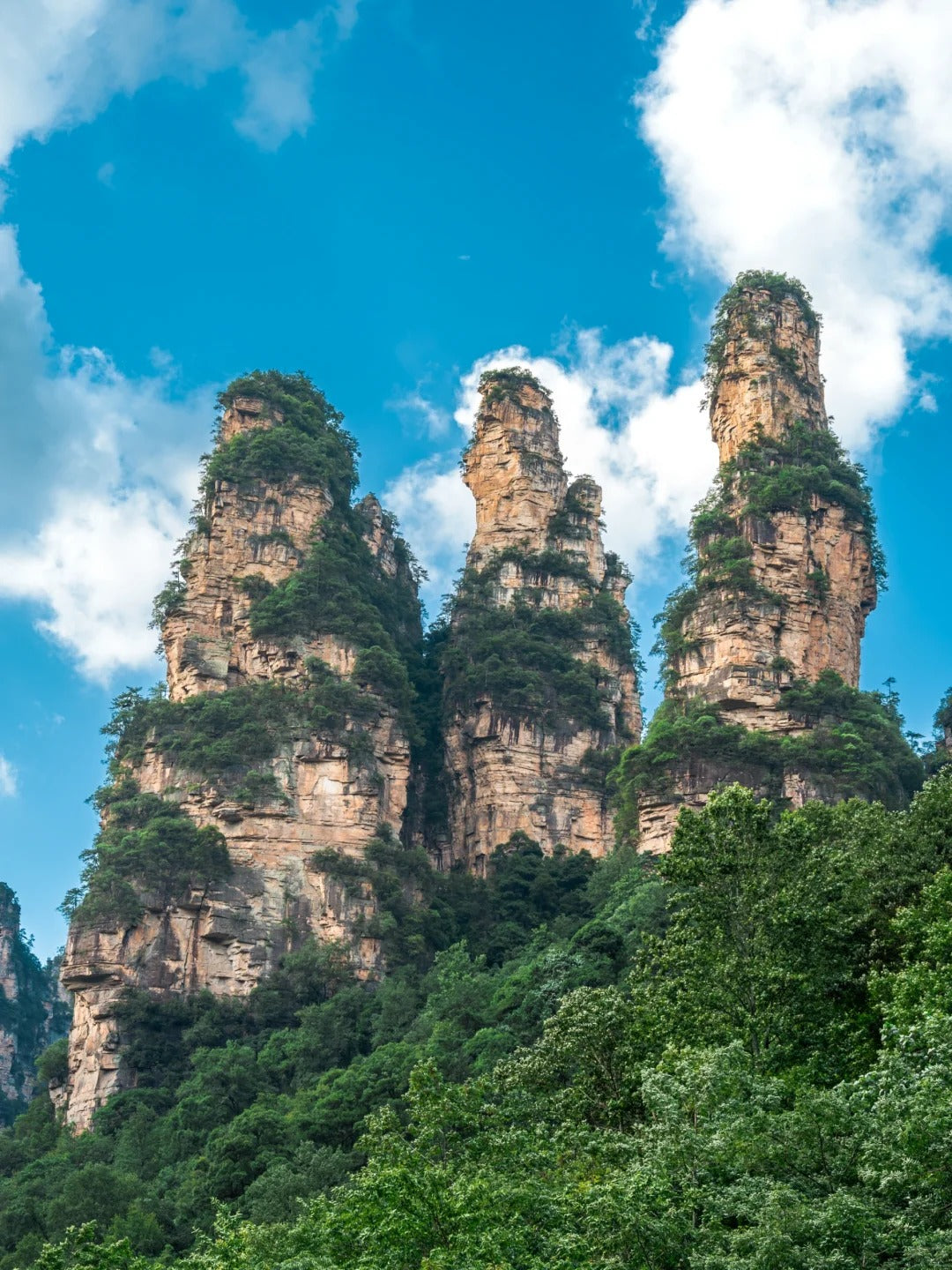 Zhangjiajie National Forest Park | Sunrise & Peak Forest Views image 6