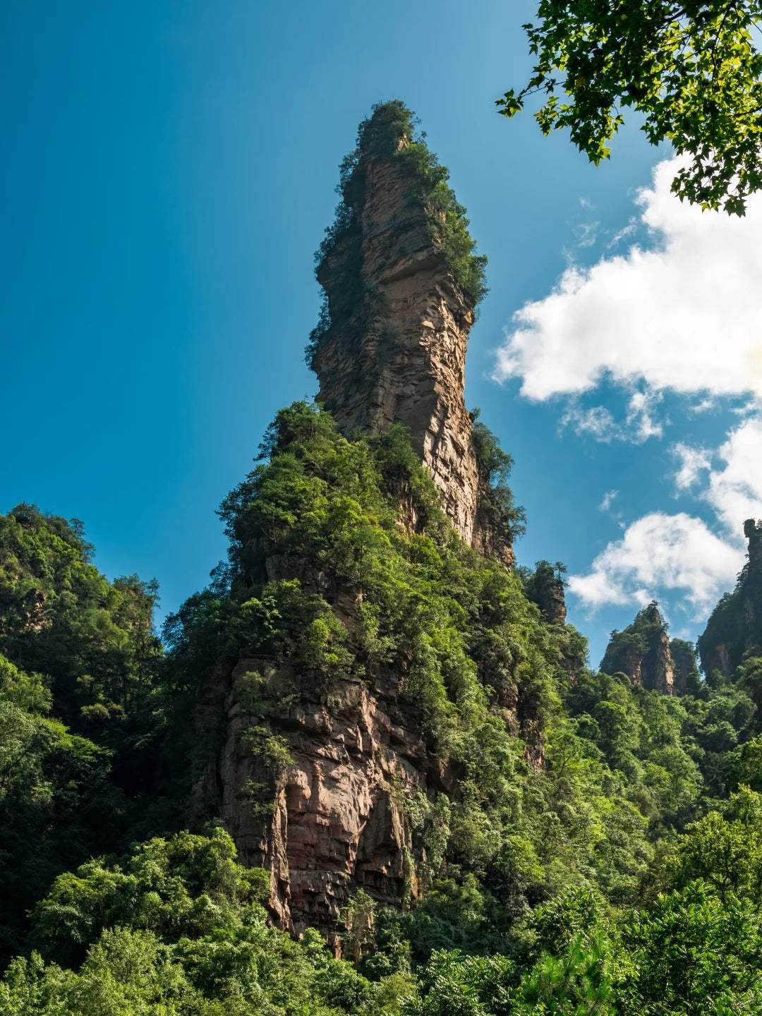 4-Day Ultimate Zhangjiajie: Avatar Mountains, Glass Bridge & Heaven's Gate