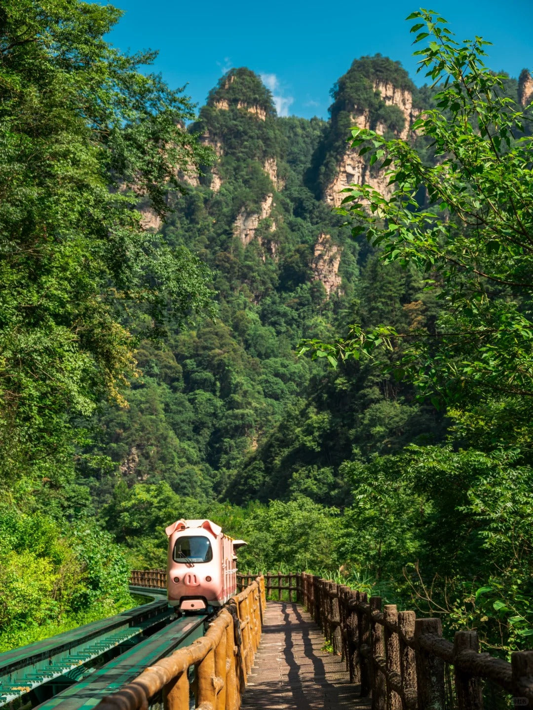 Zhangjiajie National Forest Park | Sunrise & Peak Forest Views image 7
