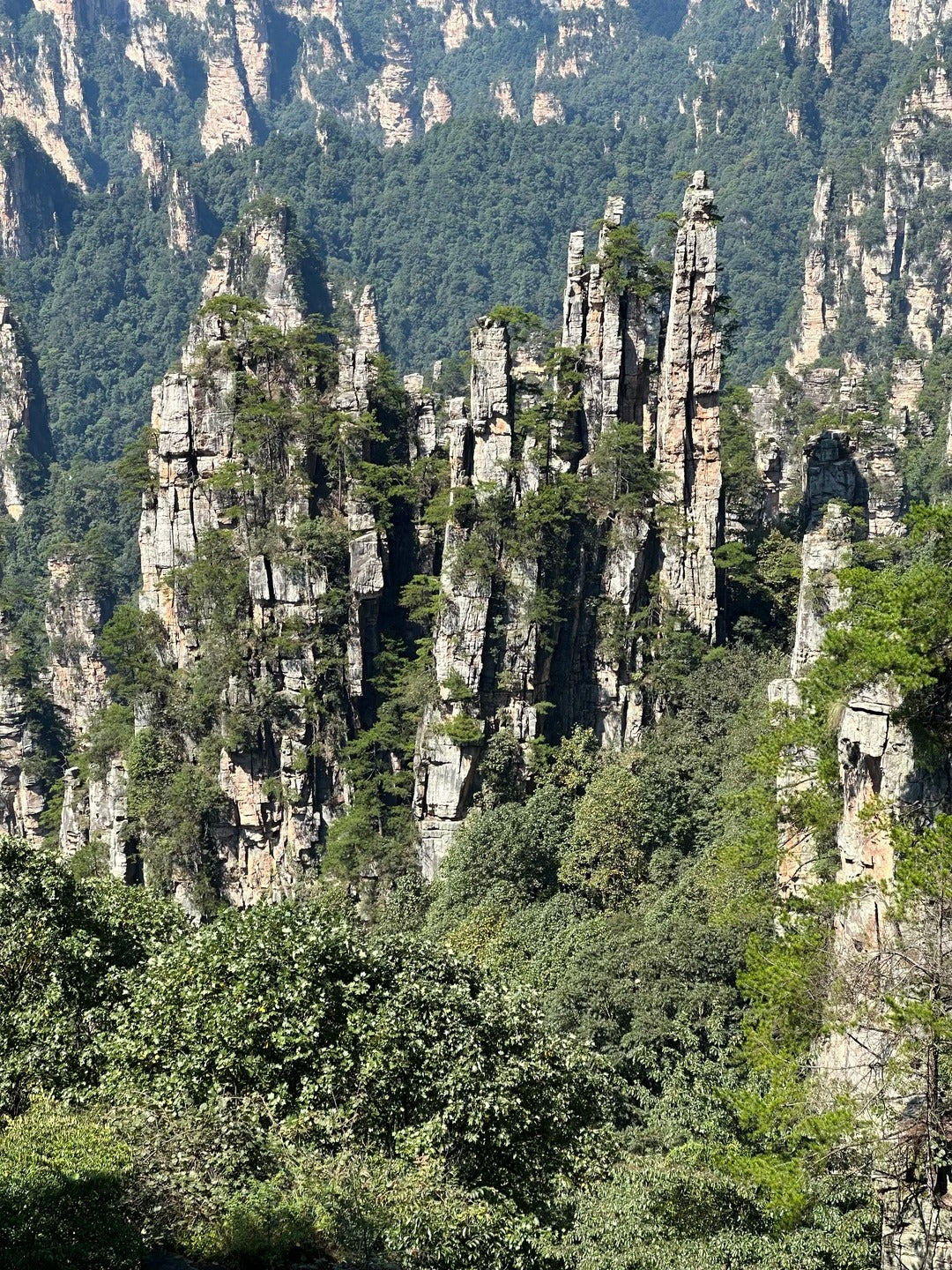 Zhangjiajie National Forest Park | Wulingyuan Rediscovered image 6