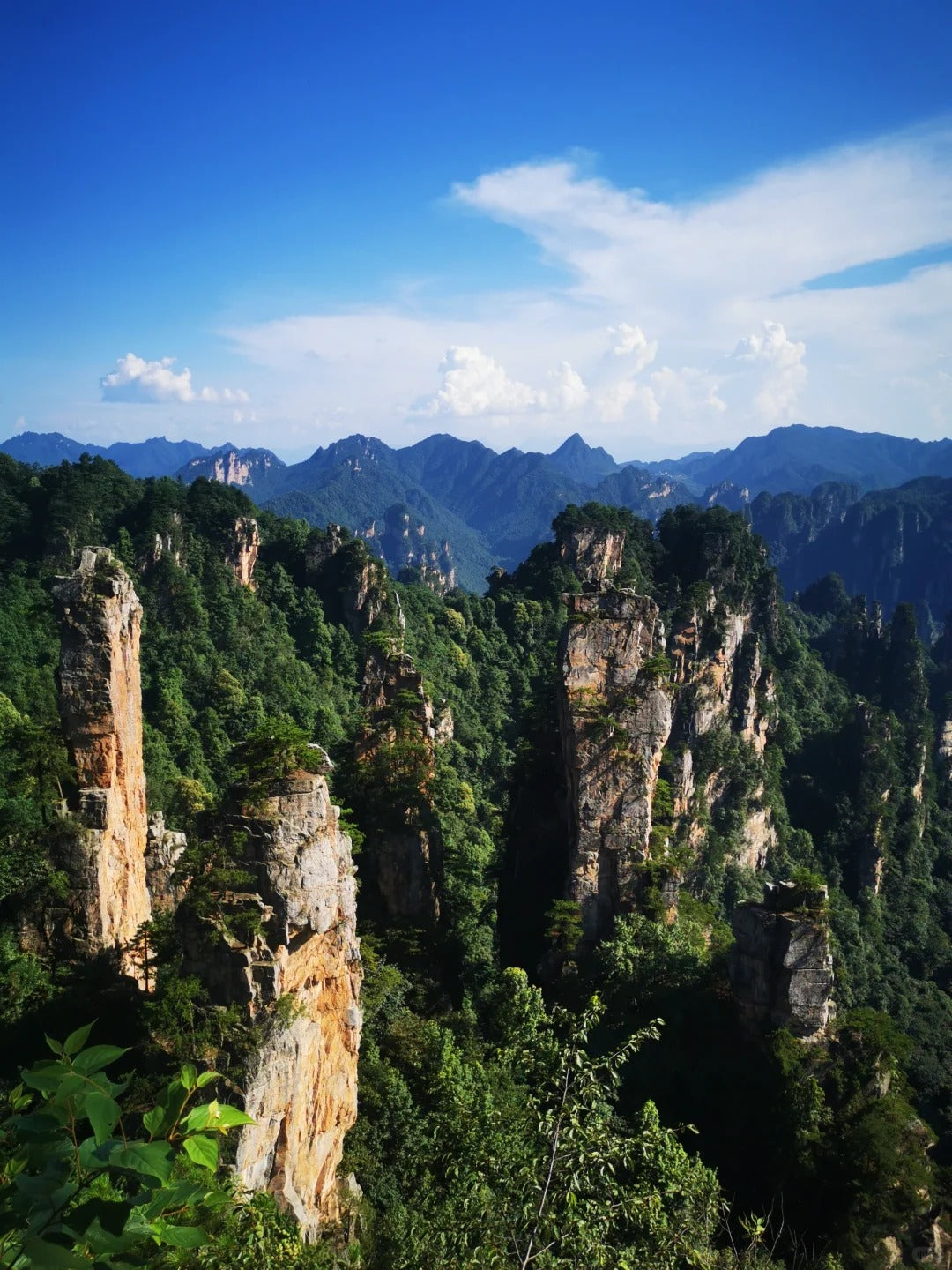 Wulingyuan & Fenghuang Ancient Town | Avatar Peaks & Riverside Night Experience image 4