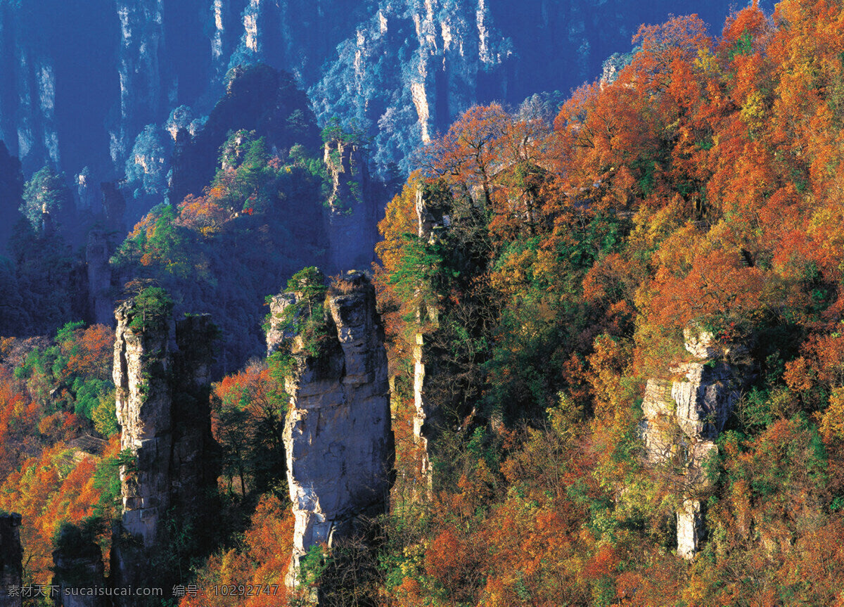 Zhangjiajie National Forest Park | Sunrise & Peak Forest Views image 3
