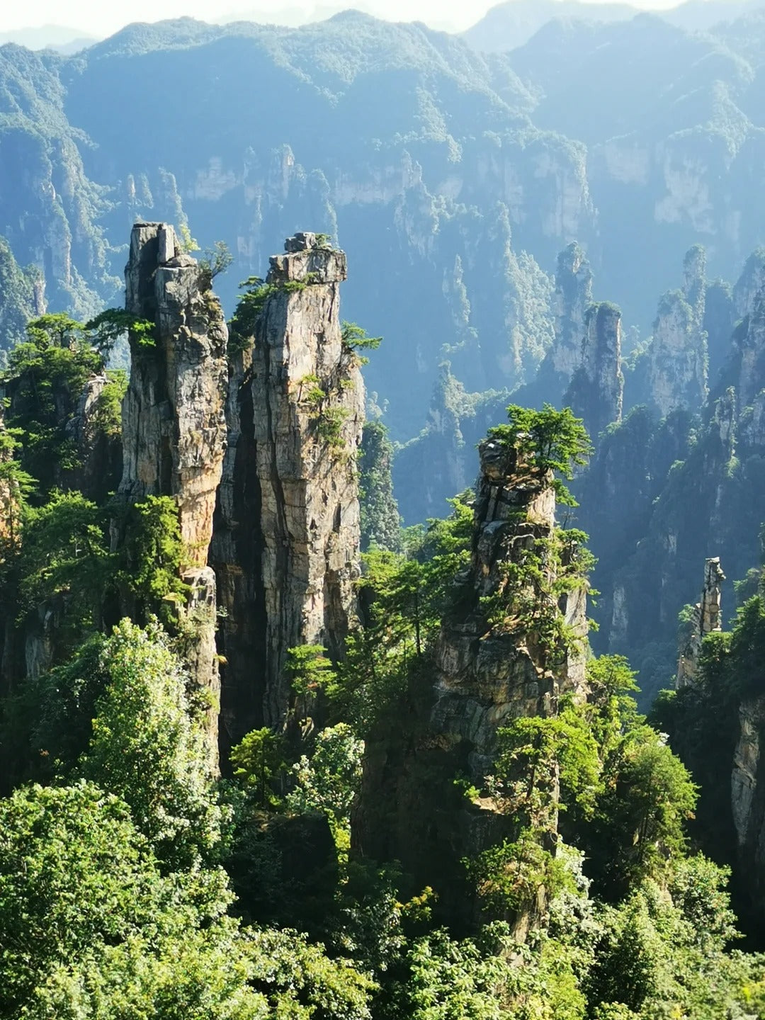 Changsha to Zhangjiajie: Forest Park & Avatar Mountains image 1