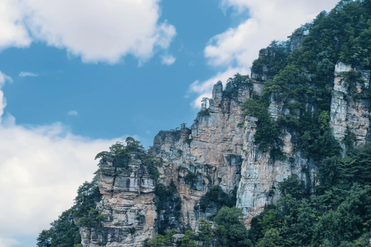 Zhangjiajie National Forest Park | Classic Peaks & Valley Walk image 5