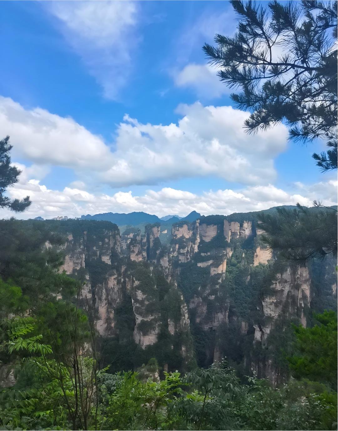 Zhangjiajie National Forest Park | Avatar Peaks & Summit Views image 1