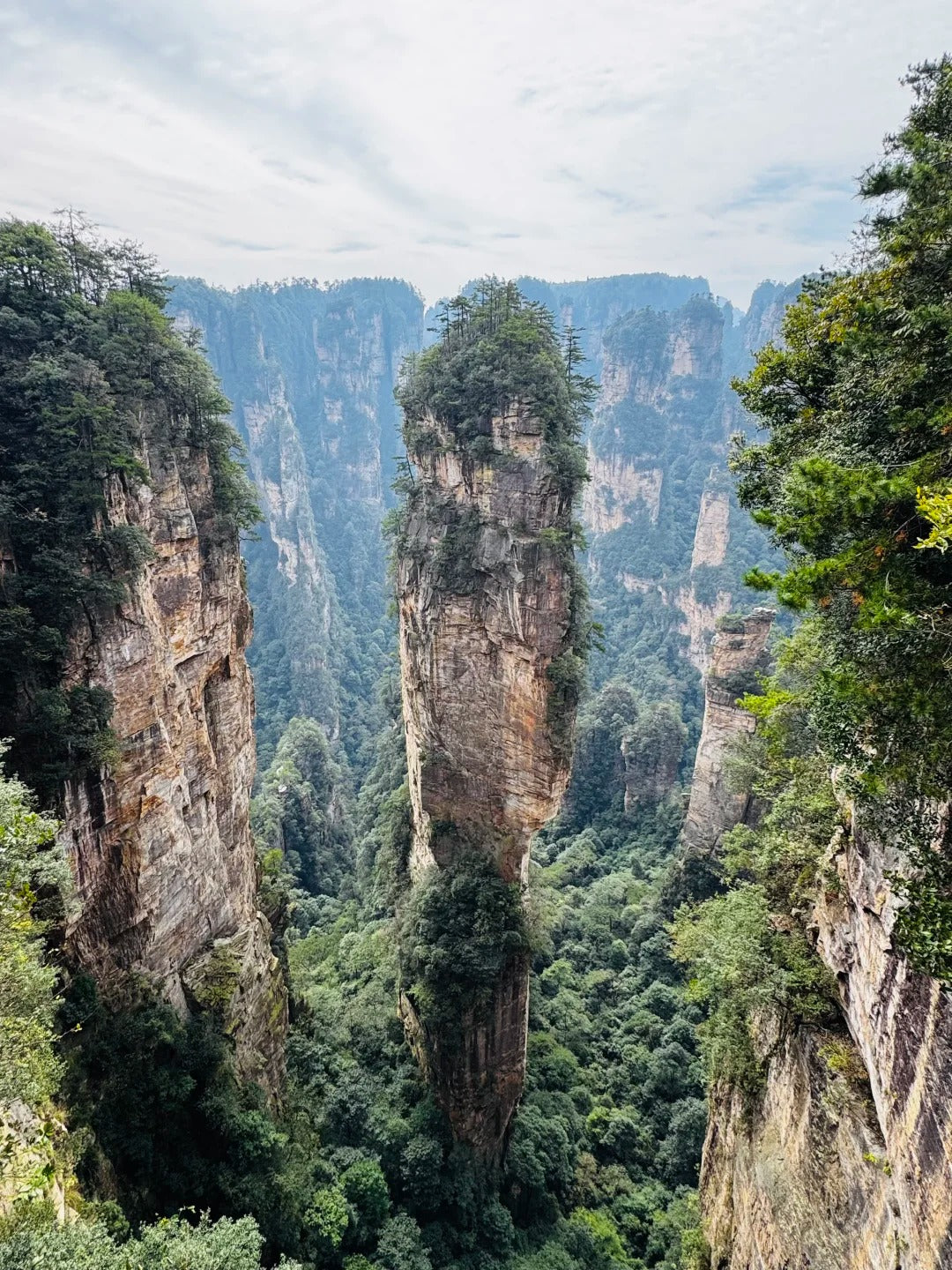 Changsha to Zhangjiajie: Forest Park & Avatar Mountains image 6