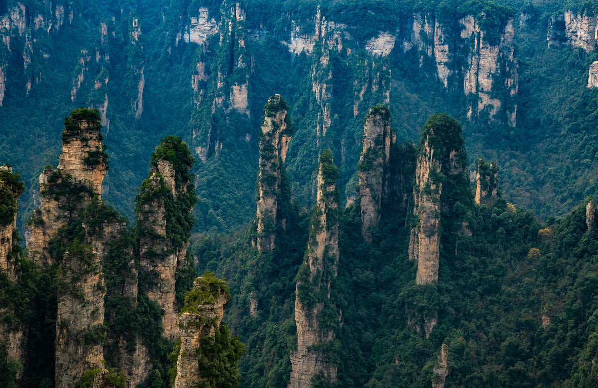 Zhangjiajie National Forest Park | Sunrise & Peak Forest Views image 3