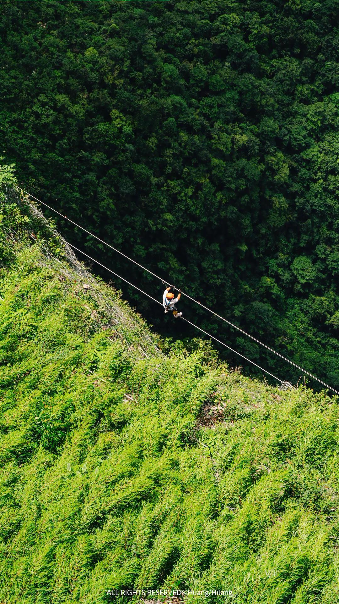 Alpine Slide image 6