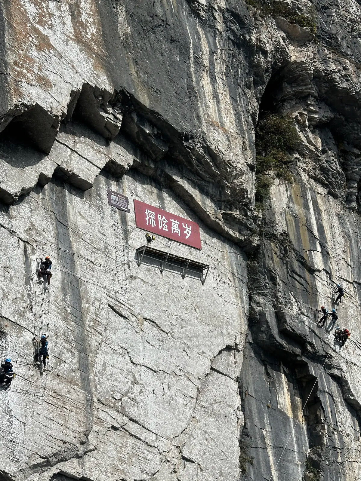 Alpine Slide image 5